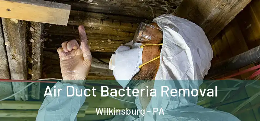  Air Duct Bacteria Removal Wilkinsburg - PA