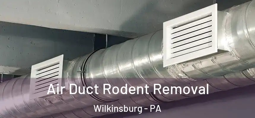  Air Duct Rodent Removal Wilkinsburg - PA