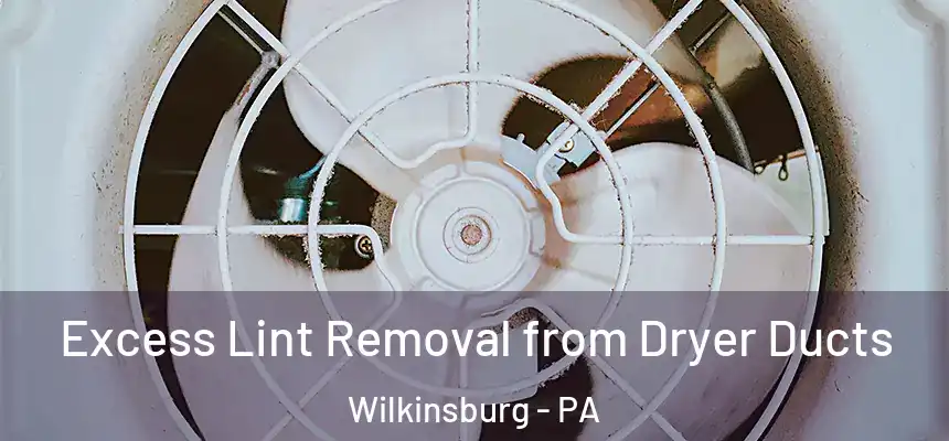  Excess Lint Removal from Dryer Ducts Wilkinsburg - PA