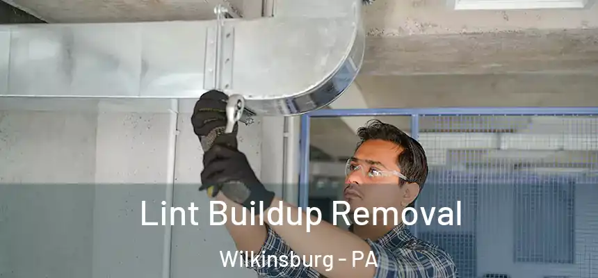  Lint Buildup Removal Wilkinsburg - PA