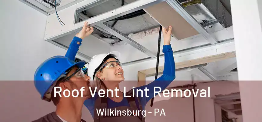 Roof Vent Lint Removal Wilkinsburg - PA