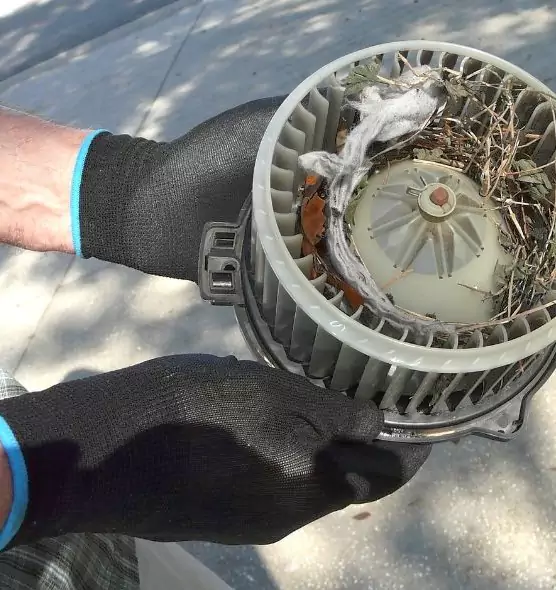 About Air Duct Mice Removal in Wilkinsburg, PA