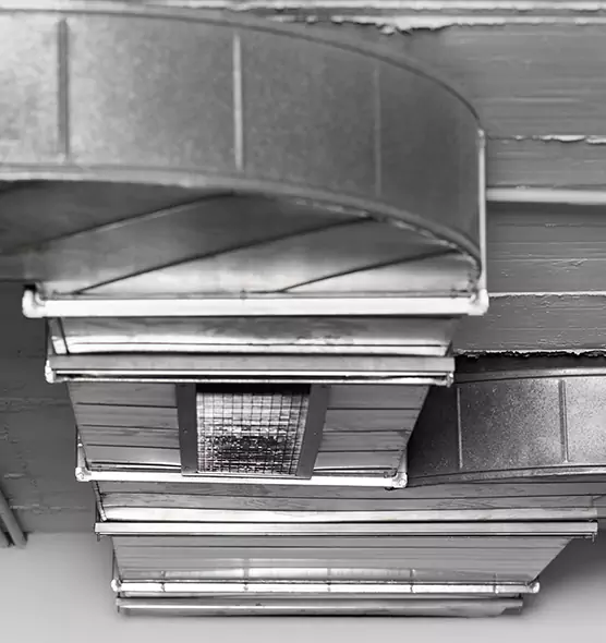 Professional Air Duct Pest Removal in Wilkinsburg, PA